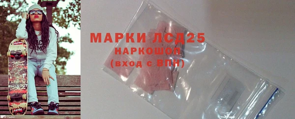 стафф Корсаков