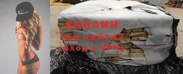 стафф Корсаков