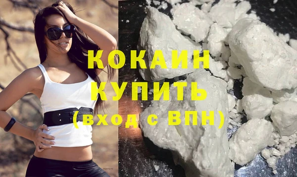 трава Коряжма