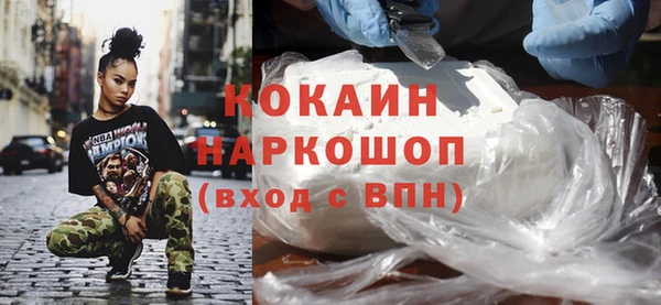 гидра Калининец