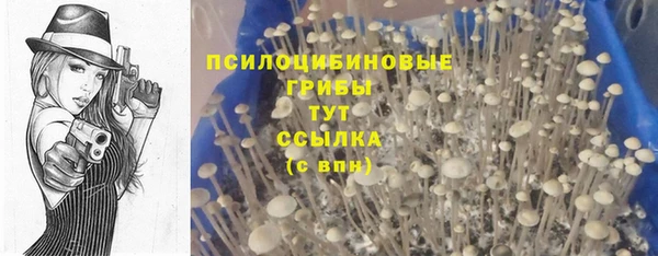 стафф Корсаков