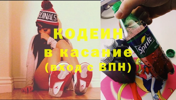 трава Коряжма