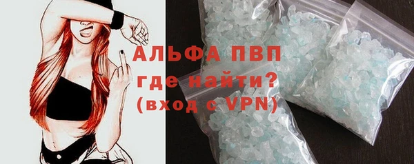 стафф Корсаков